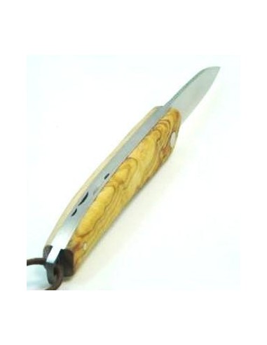 Folding knife Salamandra olive wood