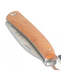 Folding knife "Salamandra" english yew wood