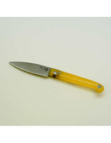 Folding knife, "Fieles" type, by PALLARES