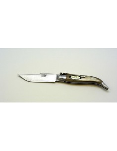 Teja folding knife size 0, Carbide. Bull horn