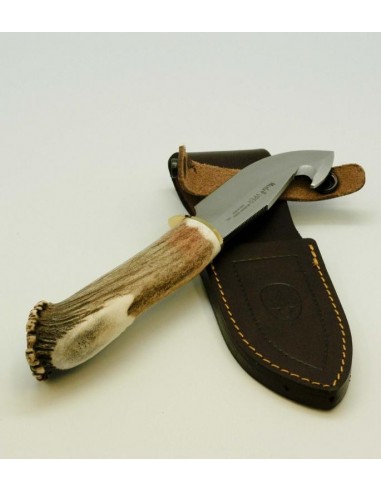 Muela VIPER-11S Gut Hook Fixed Blade, 4.5 Satin Blade, Stag Handle, Brown  Leather Sheath - KnifeCenter - MUE93301