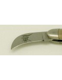 French folding knife "Ozete" type, bull horn